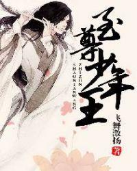 至尊少年王续集叫什么