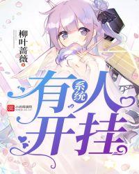 开挂系统的
