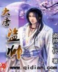 大唐盗帅无弹窗