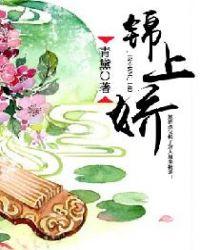 锦娇衣属于什么档次