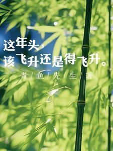 飞升得什么东西