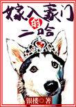 嫁入豪门的alpha剧透