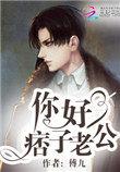 你好痞子老公全文免费版
