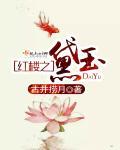 红楼之黛玉长嫂梅