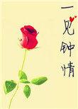 一见钟情娱乐圈H(初云之初)