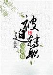 被迫转职的剑修攻受是谁