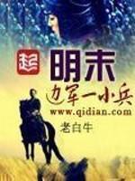 明末边军一小兵动漫一口气看完