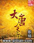 大唐天下案办案人员