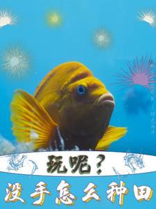 变成动物的排行榜