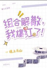 已解散的组合