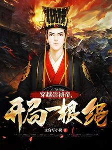 大明穿越崇祯帝开局一根绳 文盲写
