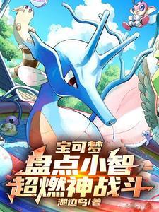 宝可梦盘点小智超燃神战斗湖边鸟