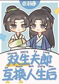 双生夫郎互换人生后剧情解析