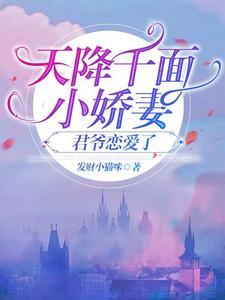 天降小妻霸道宠最新章节免费阅读