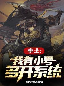 率土之滨我有无数小号