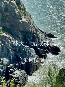 林天999