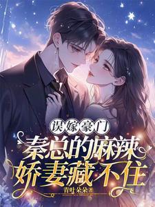 隐婚我的老公是大佬全文免费阅读