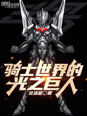 光之骑士攻略
