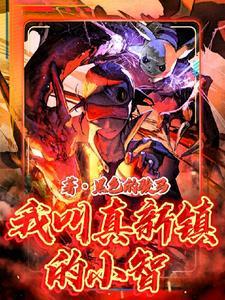真新镇超人小智