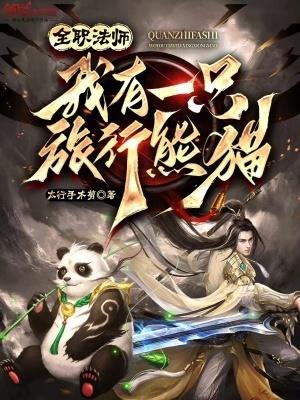全职法师军旅征途