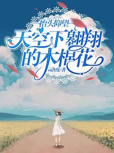 抬头仰望天空歌词