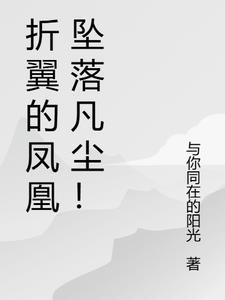 折断翅膀的凤凰