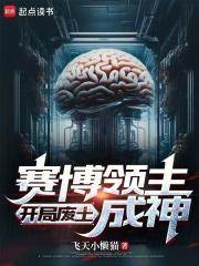 赛博领主开局废土成神笔趣阁免费