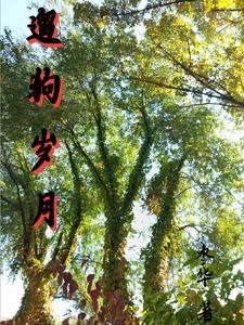 遛狗时的句子