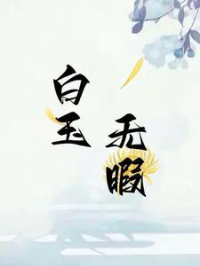 猜字谜白玉无瑕打一字是什么字