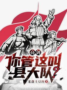 亮剑你管这叫县大队笔