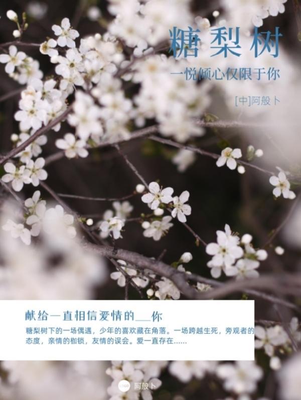 棠梨树是什么树