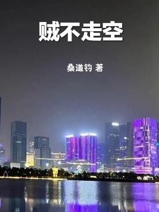 贼不走空上一句