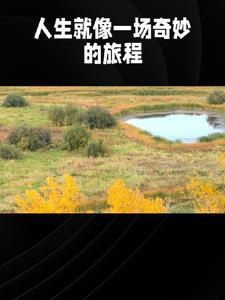 言情爱情故事