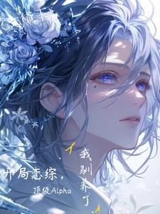 老婆搞网恋