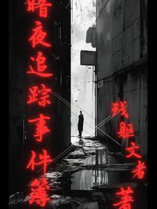 暗夜追击电视剧大结局