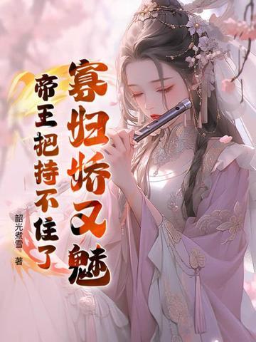 寡妾免费阅读