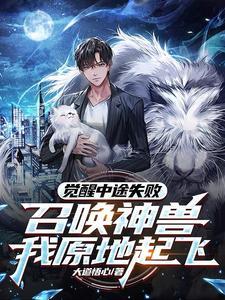 觉醒唤醒液