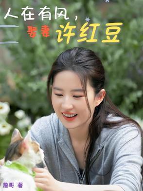 许红豆有风小院租金