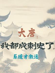 大唐刺客系统