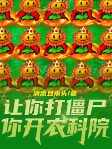 毁灭加几发子弹