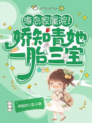 海岛家属院!娇知青她一胎三宝最