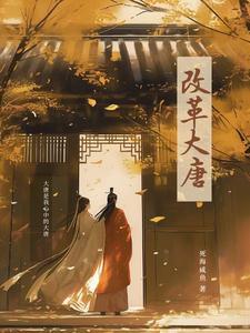 改造大唐txt