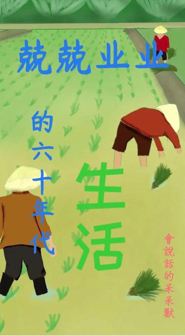60年代的美好生活免费阅读