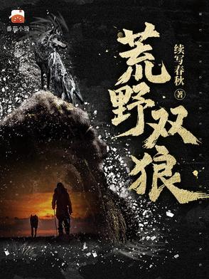 荒野双狼免费完整版共计多少集