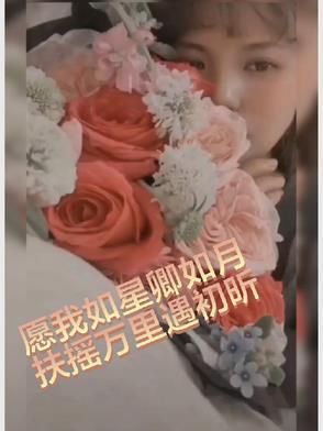愿我如星君如月 作者南玥惜
