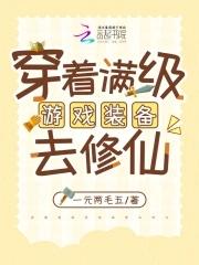 穿着满级游戏装备去修仙的