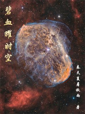 1980碧血长空完整版