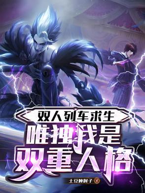 双人车是什么