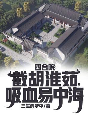 带四合院的农村养老房
