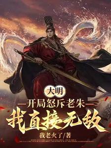 明朝大将军穿越电视剧